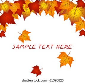 Vector autumn leaves  frame