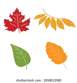 vector autumn leaves, graphic leaves of different colors in flat and cartoon style on white background, simple botanical leaf illustration
