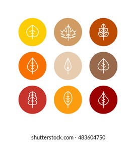 Vector autumn leaves icons set, fall tree colorful foliage