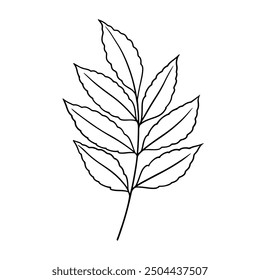 Vector autumn leaves illustration in line art style. Graphic monochrome drawing. Hand drawn floral outline sketch, engraved illustration. Design element for coloring book, tattoo, logo, icon, label