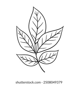 Vector autumn leaves illustration in line art style. Graphic monochrome drawing. Hand drawn floral outline sketch, engraved illustration. Design element for coloring book, tattoo, logo, icon, label