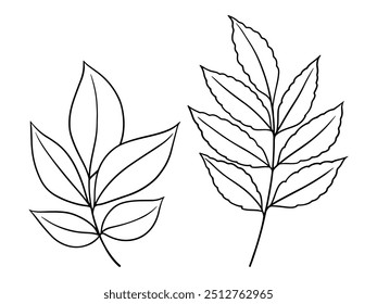 O outono vetorial deixa ilustrações definidas no estilo de arte em linha. Desenho monocromático gráfico. Esboço de esboço floral desenhado à mão, ilustração gravada. Elemento de design para colorir livro, tatuagem, logotipo, ícone