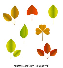 Vector autumn leaves isolated.
