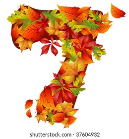 vector autumn leaves number seven