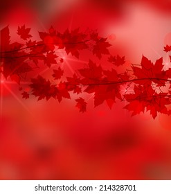 Vector autumn leaves on brightly colored background