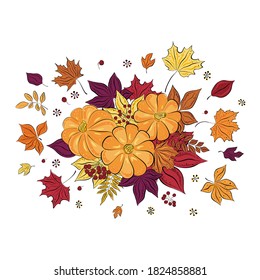 Vector autumn leaves and pumpkins collage . Hand-drawn colored maple, birch, chestnut, rowan, ash on white background. Sketch. Cartoon. Doodle style.