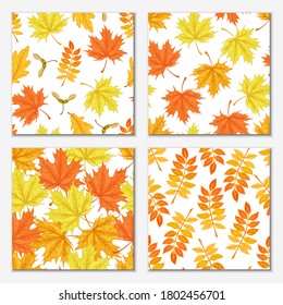 Vector autumn leaves seamless patterns collection  on white background 