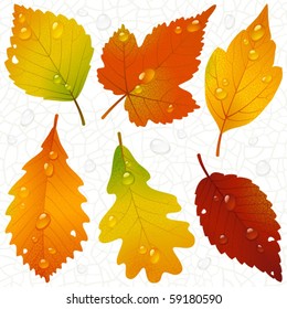 Vector autumn leaves and seamless vein background