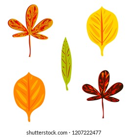 vector autumn leaves set on white background