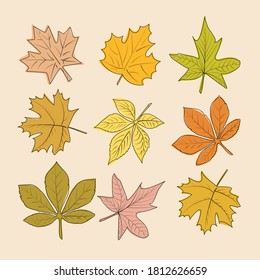 Hojas de otoño vectoriales, dibujo de una sola línea, color de otoño.