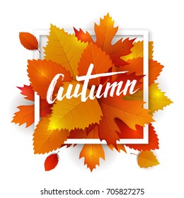 Vector autumn leaves typography. Hand drawn lettering on the fallen leaves background.