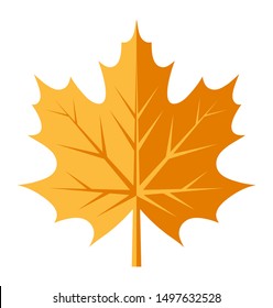 vector autumn maple leaf isolated on white background