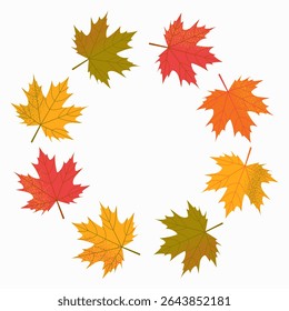 Vector autumn maple leaves arranged in a circle on a white background with empty space for text. Round frame.