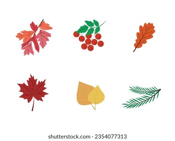 Vector autumn maple leaves isolated on white background