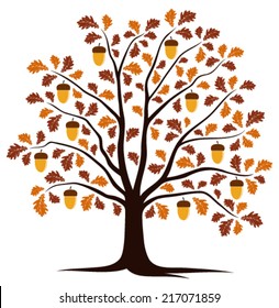 vector autumn oak tree isolated on white background