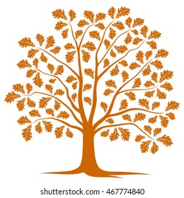vector autumn oak tree isolated on white background