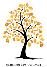 vector autumn oak tree isolated on white background