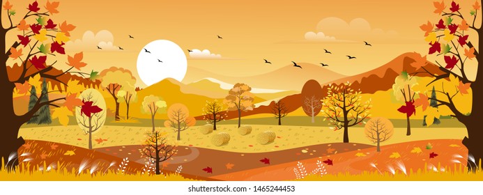 Vektor-Panorama-Landschaftsfeld mit orangefarbenem Himmel, Schöner Sonnenuntergang im Herbst auf Landseite mit Panoramablick auf gelbem Blattwerk, Hintergrund Herbstsaison