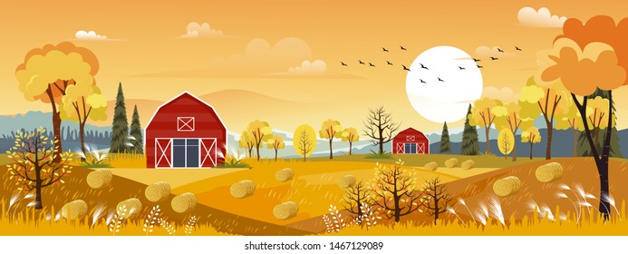  Vector Autumn Panorama Landscape Farm Field With Orange Sky, Beautiful Sunset In Autumn Countryside Panorama View With Yellow Foliage,Fall Season With Copy Space For Banner Background