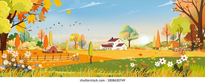 Vector Autumn panorama landscape farm field with orange sky, Beautiful sunset in mid Autumn countryside panorama view with yellowed orange foliage,Fall season with copy space for banner background
