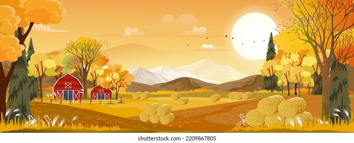 Vector Autumn panorama landscape farm field with orange sky, Beautiful sunset in Autumn countryside panorama view with yellow foliage,Fall season with copy space for banner background