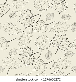 Vector autumn pattern of hand-drawn leaves.  Contoured autumn leaves of maple, poplar, birch, oak, hornbeam on beige background.