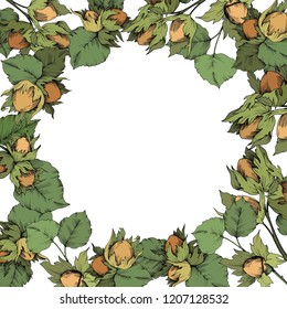 Haselnuss der Herbstpflanze. Blattpflanze botanischer Garten Blumenblätterblättern. Rahmen-Ornament-Quadrat. Vektorblatt für Hintergrund, Textur, Wrapper-Muster, Rahmen oder Rahmen.