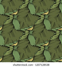 Vector autumn plant hazel nut. Leaf plant botanical garden floral foliage. Seamless background pattern. Fabric wallpaper print texture. Vector leaf for background, texture, wrapper pattern.
