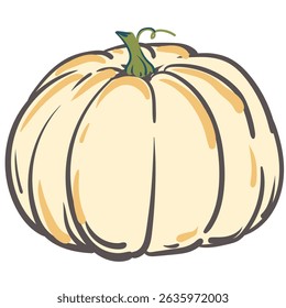 Vector autumn pumpkin. Hand drawn white pumpkin isolated on white. Illustration for Halloween, Thanksgiving design elements. Flat style.