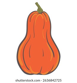 Vector autumn pumpkin. Hand drawn orange long pumpkin isolated on white. Illustration for Halloween, Thanksgiving design elements. Flat style.