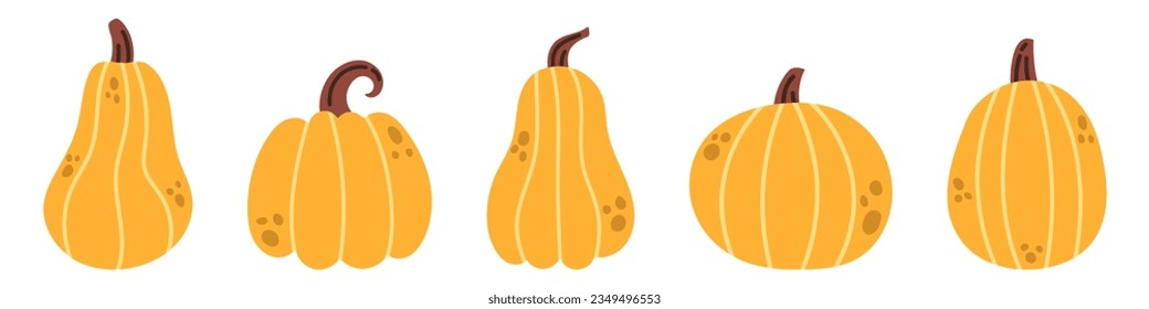 Vector autumn pumpkin set. Thanksgiving day decorative design. Collection of pumpkin clipart in flat design. Autumn vegetables. Fall pumpkin harvest.