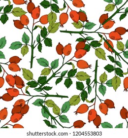 Vector autumn red rose hip plant. Plant botanical garden floral foliage. Seamless background pattern.Vector leaf for background, texture, wrapper pattern, frame or border.