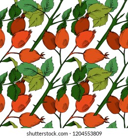 Vector autumn red rose hip plant. Plant botanical garden floral foliage. Seamless background pattern.Vector leaf for background, texture, wrapper pattern, frame or border.