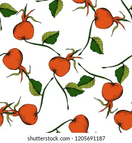Vector de la planta de cadera rosa roja de otoño. Planta vegetal de jardín botánico follaje floral. Patrón de fondo sin soldadura.Hoja vectorial para fondo, textura, patrón de envoltura, marco o borde.