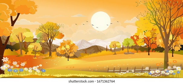 Vector Autumn rural landscape, mountain and orange pine trees forest with misty morning sun light, Peaceful panoramic nature fall forest with sunset sky in evening,Natural background concept