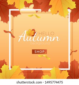 Vector autumn sale background layout with maple leaves for shopping sale or promo poster