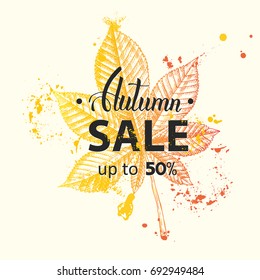 Vector Autumn Sale banner. Up to 50%. Lettering. Sketch. Hand drawn doodle chestnut. Engraving illustration. Poster, flyer, brochure, web, advertising