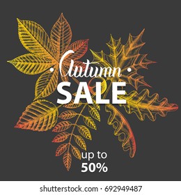 Vector Autumn sale banner with doodle leaves. Lettering. Sketch. Poster, flyer, brochure, web, advertising