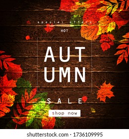 Vector autumn sale lettering label. Banner with hand drawn typography and leaves on a wooden background