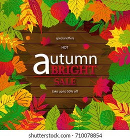 Vector autumn sale lettering label. Banner with hand drawn typography and leaves on a wooden background