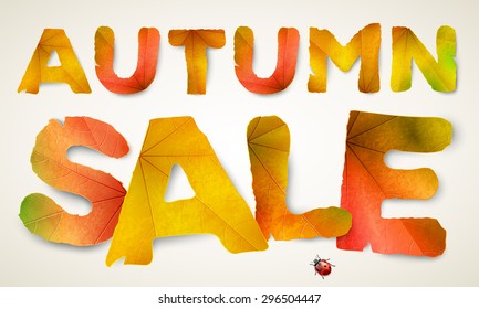 Vector Autumn Sale words, made from autumn leaves, isolated on background