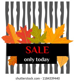 Vector. Autumn sales. Set of yellow leaves