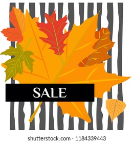 Vector. Autumn sales. Set of yellow leaves