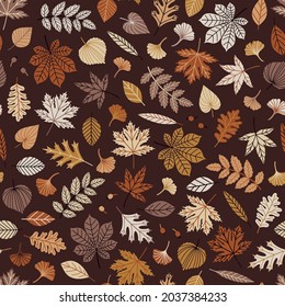 Vector autumn seamless pattern with falling leaves. Botanical repeated texture with floral elements for the fall season. Fall print with foliage. Natural background. Maple, oak, and chestnut leaves