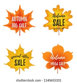 Vector autumn season banner collection. Set of four october leaves with greeting inscription, fall.