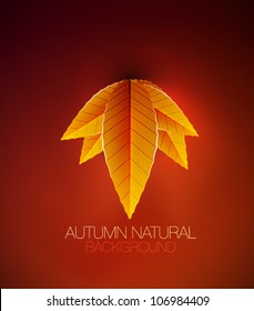 Vector otoño de fondo natural estacional con hojas