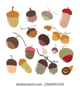 Vector autumn set with acorn. , botanical element with cute acorn. Vector illustration. 
