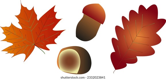 Herbstgarnitur - Kastanie, Eichensamen - Ahorn, Ahorn und Eichenblätter. Vektorgrafik - Herbstthema. 