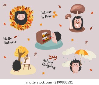 Vector autumn set with cute hedgehogs. Autumn elements: leaves, mushrooms, conservation, umbrella. Cartoon character hedgehog. Hello, Autumn. Autumn is here. Elements for stickers, postcards, textiles