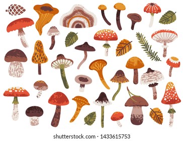 Vector autumn set with cute mushrooms, leaves and natural elements. Vintage bright mushrooms are isolated on white. Hand drawn collection for fall season. Forest background.